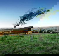 Ravensbourne National Park - Perths Hotel