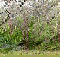 Scutts Hut Trail - Perths Hotel