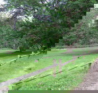 St Albans Reserve - Perths Hotel