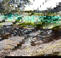 Tactical Paintball Games - Perths Hotel