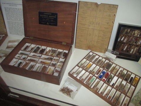 UQ Marks-Hirschfeld Museum Of Medical History - Perths Hotel 0