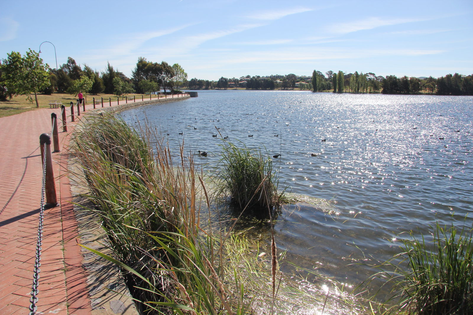 Amaroo ACT Perths Hotel