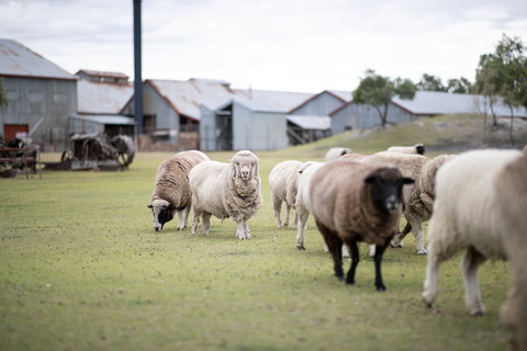 14 Day Gems Of The Outback - Perths Hotel 2