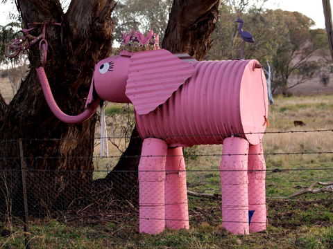 Animals On Bikes - Perths Hotel 0