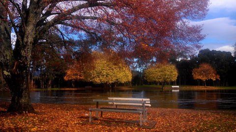 Bells Parade Reserve - Perths Hotel 0