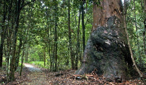 Blue Gum Loop Trail - Perths Hotel 0