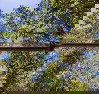 Bribie Island Bicentennial Trails - Perths Hotel