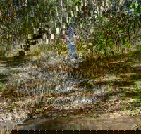 Cliff Face track - Perths Hotel