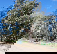 Giant Gum Tree - Perths Hotel