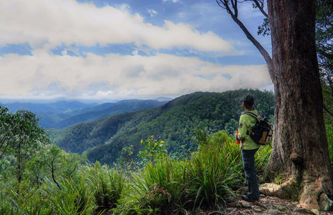 Gloucester Falls Walking Track - Perths Hotel 0