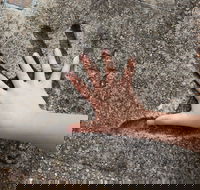Hands of Fame Park - Perths Hotel
