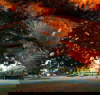 Jubilee Park Mackay - Perths Hotel