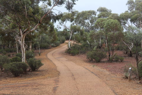 Karlkurla Bushland Park - Perths Hotel 0