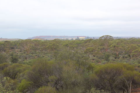 Karlkurla Bushland Park - Perths Hotel 1