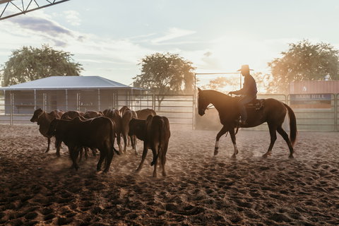 Katherine Outback Experience - Horse Riding Experience - Perths Hotel 2