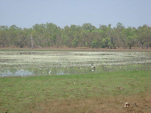 Leaning Tree Lagoon Nature Park - Perths Hotel 1