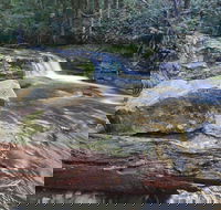 Liffey Falls Reserve - Perths Hotel