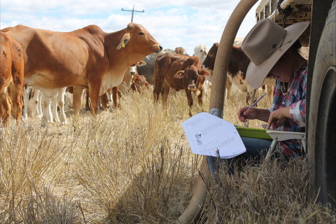 Longreach School Of Distance Education - Perths Hotel 2