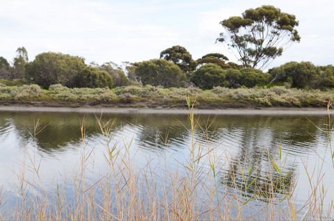 Onkaparinga River Recreation Park - Perths Hotel 0