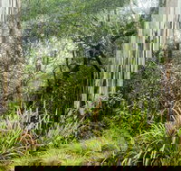 River walking track - Perths Hotel