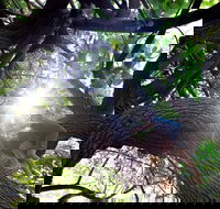 Scarborough Beach Park - Perths Hotel