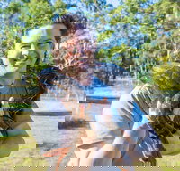 Serpentarium Wildlife Park Tasmania - Perths Hotel