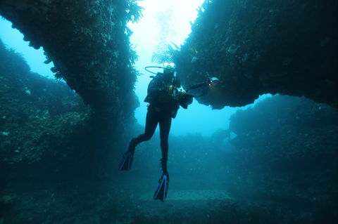 The Arches Marine Sanctuary - Perths Hotel 1
