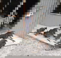 The Patriarch Wildlife Sanctuary - Perths Hotel