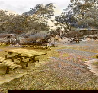 Thredbo River picnic area - Perths Hotel