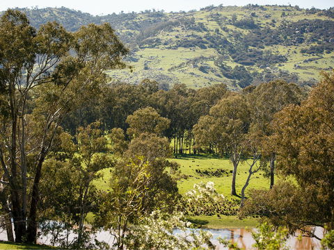 Trawool Valley - Perths Hotel 0