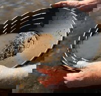 Tuena Panning for Gold - Perths Hotel