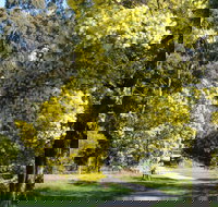 Wattle Park - Perths Hotel