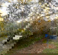 Yarrangobilly Caves  River walk - Perths Hotel