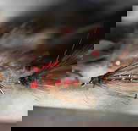 Australian Fly Fishing Museum - Perths Hotel