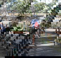 Bidgee Riverside Trail  - Hay Nature Walk - Perths Hotel