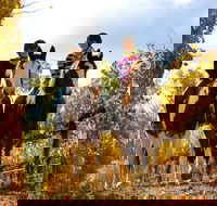 Billabong Ranch Adventure Park - Perths Hotel