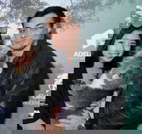 Cleland Wildlife Park - Koala Hold - Perths Hotel