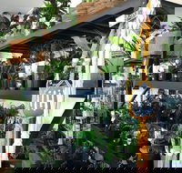 Fancy Plants - Perths Hotel