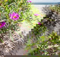 Fort Bribie - Perths Hotel