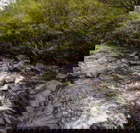 Gloucester River walking track - Perths Hotel