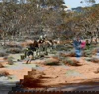 Mallee Stop walking track - Perths Hotel