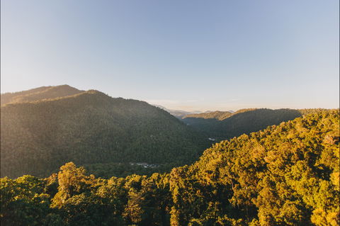 Mamu Tropical Skywalk - Perths Hotel 1