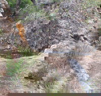 Mill-bullah Walking Track - Perths Hotel