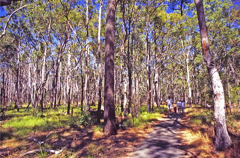 Moogerah Peaks National Park - Perths Hotel 1