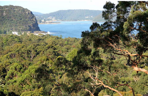 Patonga To Pearl Beach Walking Track - Perths Hotel 0