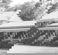 Razorback - Perths Hotel