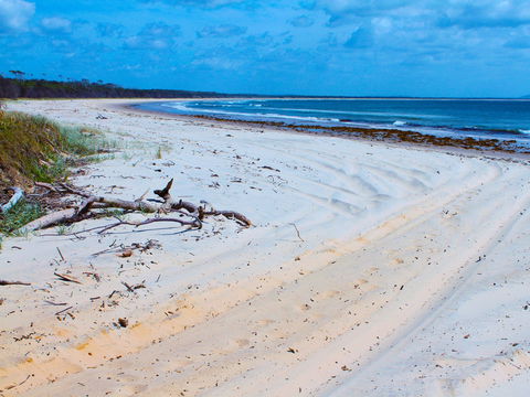 Shark Bay - Perths Hotel 1