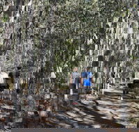 Six Mile Creek Bluff Lookout and Little White Rock Trails - Perths Hotel