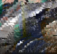 Skirmish Sunshine Coast Outdoor Paintball - Perths Hotel