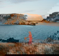 The Nut - Perths Hotel